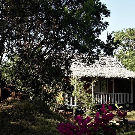 Jambo Mara Safari Lodge Ololaimutiek Exterior photo