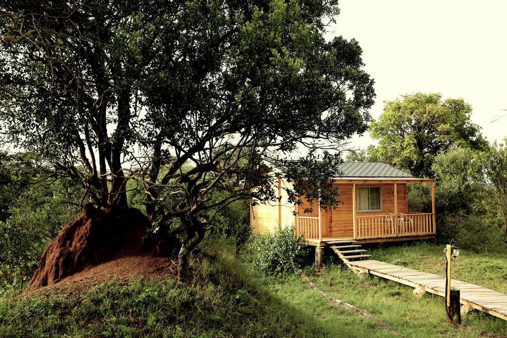 Jambo Mara Safari Lodge Ololaimutiek Room photo
