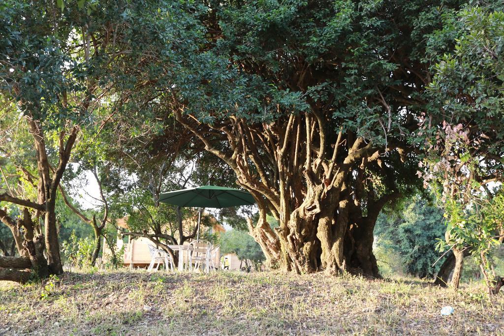 Jambo Mara Safari Lodge Ololaimutiek Exterior photo